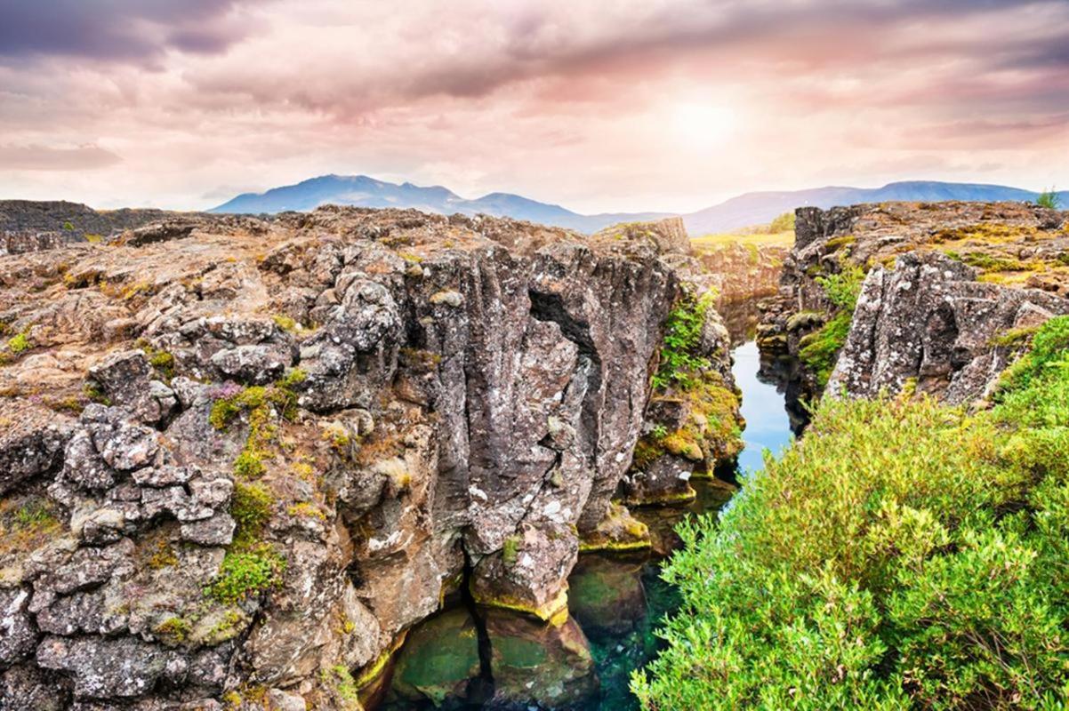 Fox Hotel Reykjavík Zewnętrze zdjęcie