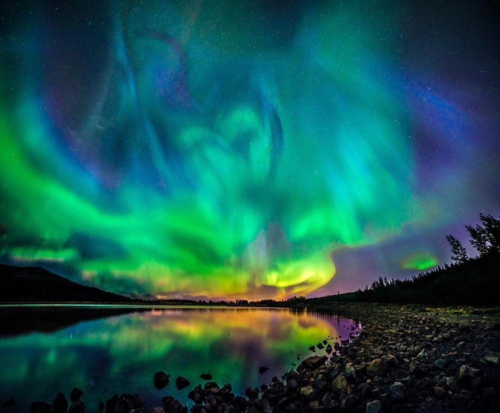 Fox Hotel Reykjavík Zewnętrze zdjęcie